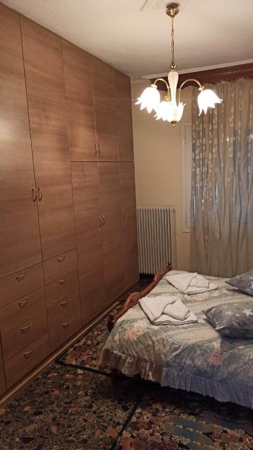 Panourgia'S House Apartment Trikala  Exterior photo